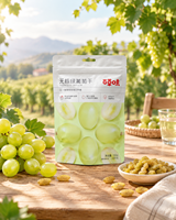 Sac de rangement pour fruits secs à base carrée extensible, grande capacité, pochette à collation à soufflets, double affichage vertical et suspendu, alimentation anti-humidité