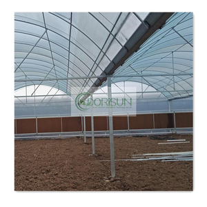 <span class=keywords><strong>Precio</strong></span> bajo y vendedor Superior Popular Invernadero de túnel polivinílico agrícola Multi Span Film Green House para cultivar vegetales - Product Image 3