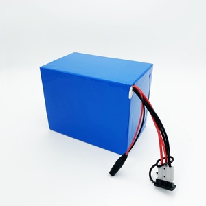 Risun Power Low Speed Fahrzeug Elektro Dreirad Motorrad Lithium batterie LiFePO4 48V 40AH 80AH LiFePO4 Lithium-Ionen-Batterien - Product Image 3