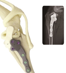 Sistema de placa de bloqueo BLUESAO, 8,5/9,5mm, hueso de implante quirúrgico canino de titanio puro - Product Image 1