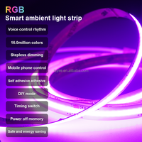 Bande lumineuse LED COB RGB 24V 5m Ensemble Télécommande Adaptateur secteur Haute luminosité 840Leds/m IP20 Décoration de pièce Kit de bande lumineuse LED 10mm