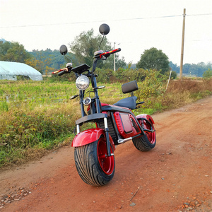 Venta al por Mayor, <span class=keywords><strong>Precio</strong></span> de Fábrica en China, Motocicleta Eléctrica Citycoco <span class=keywords><strong>2023</strong></span>, Diseño Popular, Motor de 12 Pulgadas - Product Image 5