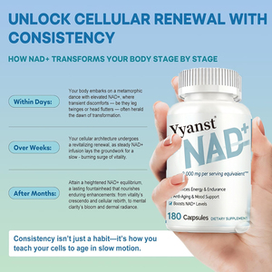 Cápsulas de NAD+ de alta calidad de marca privada ODM OEM que apoyan el aumento del nivel de NAD, aumentan la energía, promueven el envejecimiento saludable y el metabolismo. - Product Image 2