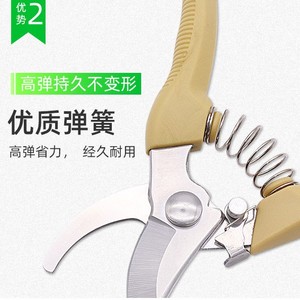 Tijeras de podar de acero inoxidable con hoja de 47 mm, diámetro de corte de 10-20 mm, tijeras de jardín para el cuidado de plantas y flores - Product Image 1