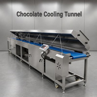 Tunnel de refroidissement pour moules à chocolat au beurre de cacao pur, machine de formage à refroidissement rapide pour ligne de production de snacks