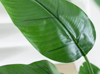 Plantas Artificiales en Oferta, Hojas Verdes, Palmeras Artificiales, Planta del Viajero, Planta del Banano, para Decoración de Interiores, Hoteles