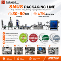 Chaîne de production entièrement automatique CE pour le remplissage, la scellage, le bouchage et l'étiquetage de sachets de poudre de nicotine, de tabac à mâcher et de snus
