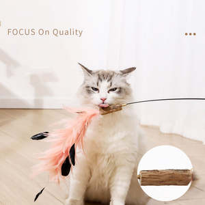 Juguete Interactivo Ecológico y Educativo para Gatos con Plumas, Nuevo Palo de Madera Extensible con Plata de Ley para Estimular a los Gatos - Product Image 6