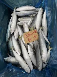 تصدير جديد على متن الطائرة - Product Image 4