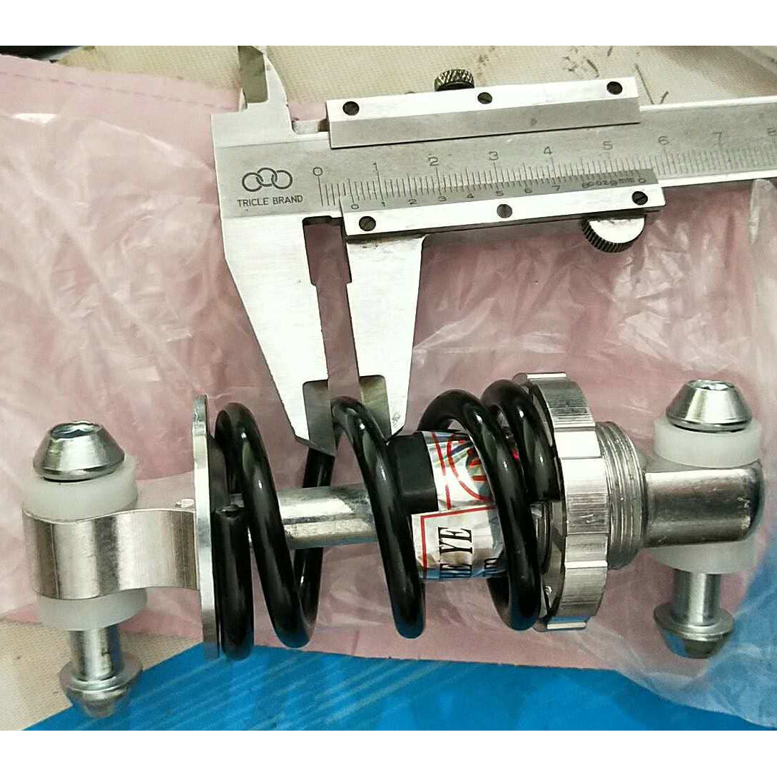 Ressort de 100 mm de long et 5 mm d'épaisseur