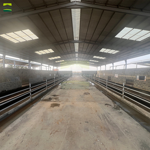 Système complet <span class=keywords><strong>de</strong></span> plancher à lattes pour ferme ovine <span class=keywords><strong>de</strong></span> 3000 moutons, incluant des lattes en plastique vert et des poutres <span class=keywords><strong>de</strong></span> <span class=keywords><strong>support</strong></span> en acier galvanisé pour ferme ovine - Product Image 2