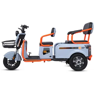 Paige Tricycle électrique 60v 800w occasion rickshaw motorisé tricycle batterie mini moto 3 roues enfants pièces voiture walmart pour adulte