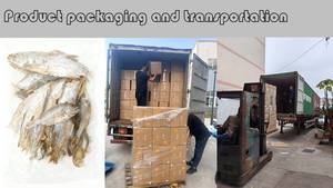 חטיפים רכים ורכות ללעיסה של דגים קלופים לקשישים וחיות מחמד צעירות - Product Image 6