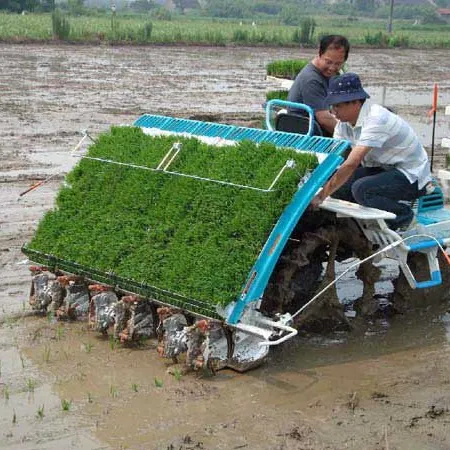 Máquina de conducción agrícola, transplantador de arroz, 6 filas, 8 filas