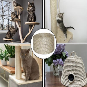 Bien vendre Nouveau Type 100% <span class=keywords><strong>Corde</strong></span> en <span class=keywords><strong>sisal</strong></span> torsadé naturel personnalisable <span class=keywords><strong>10Mm</strong></span> ~ 12Mm - Product Image 6