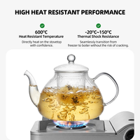 Teko Teh Kaca dengan Infuser Kaca 1200ml / 40.58oz, Terbuat dari Kaca Borosilikat Bening, untuk Teh Mekar, Teh Daun, Pesta, Keluarga, dan Rumah