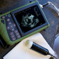 Appareil d'échographie vétérinaire portable pour animaux, sonde mécanique 3,5 MHz, construction métallique, garantie de 2 ans, certifié CE