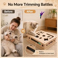 Nouvelle Boîte d'Enrichissement Interactif 2026 pour Chat avec Jouet à Chatouiller en Forme de Clochette et Baguette à Herbe à Chat pour un Affûtage des Griffes Sans Stress