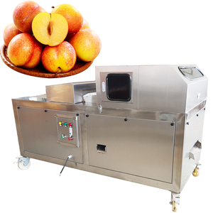 Máquina Deshuesadora de Aceitunas Multifuncional en Oferta, Máquina Deshuesadora de Cerezas Comercial a Excelente Precio - Product Image 3