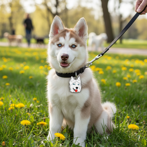 Ciondolo in metallo bianco e marrone per collare di cane Husky, targhetta identificativa per animali domestici - Product Image 3
