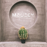 V212 fabricants vente en gros de plantes artificielles Cactus boule multi-taille Cactus plantes vertes pour décoration de sol de mariage