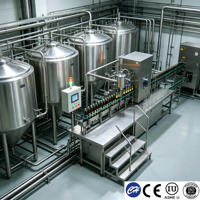 Tanque de Producción de Cerveza de Acero Inoxidable Sanitario con Certificación CE de 200L, Fabricante Personalizado