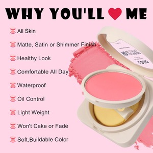 High Pigment Vegan Cheek Blusher Pressed Powder 24 Colors Makeup Waterproof Luxury <strong>Matte</strong> <strong>Blush</strong> Palette Private Label - Product Image 2