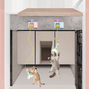 QbellPet Toptan İnteraktif Kedi Oyuncağı Duvara Monte Yo-Yo Top Oyuncağı Rastgele Kaldırma ve USB Şarj Özellikli - Product Image 3