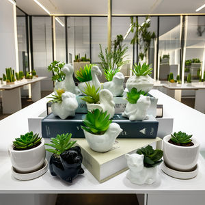 Commercio all'ingrosso quadrato vaso di ceramica per interni decorazione per la casa artificiale piante succulente per l'ufficio o camera da letto - Product Image 6