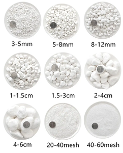 庭の装飾と景観建設プロジェクトのための天然川の小石プレミアム天然石 - Product Image 2