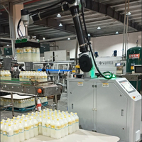 Robot Colaborativo Neumático de Alta Velocidad para Paletización con PLC para Automatización de Almacenes de Cajas de Embalaje de Vidrio