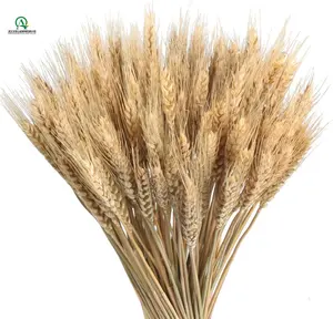 Pampas rumput besar berbulu tinggi buatan Bulrush Reed rumput untuk vas pengisi rumah pertanian dekorasi pernikahan
