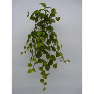 FALLING POTUS X144 65CM GR - Product Image 1