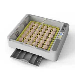 Incubadora de ovos 1000 min 5000 Solaire/Elétrica redonda 12 peças em Malavi Fornecedores em Marrocos incubadora e poedeira 36 ovos