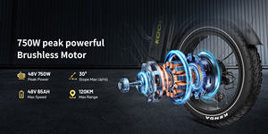 Vélo électrique <span class=keywords><strong>cargo</strong></span> Koolux X8 EU 20 pouces à pneus larges haute vitesse avec batterie amovible 65Ah longue autonomie pour livreur - Vente en gros - Product Image 2