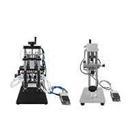 Machine de remplissage et de bouchage pneumatique LIENM à 2 têtes en acier inoxydable pour le conditionnement et la fermeture de parfums et cosmétiques