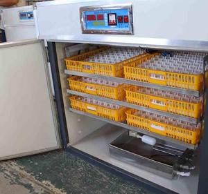 Cao tỷ lệ nở 528 gà trứng lồng ấp Nhà Máy Giá màu thép tấm cho quy mô lớn gà trứng ấp - Product Image 3