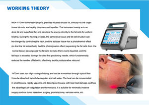 Endoláser Lipoláser para Papada, Lifting Facial, Endoláser para <span class=keywords><strong>Hemorroides</strong></span>, Eliminación de <span class=keywords><strong>Hemorroides</strong></span>, Máquina de Liposucción Endolift - Product Image 3