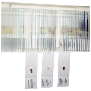 Élèves de l'école enseignant 50 types de microscope de parasitologie médicale ensemble de lames préparées - Product Image 2