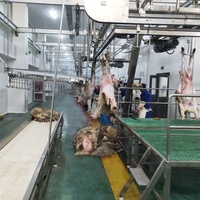 Appareil d'épilation d'agneau Dépilage des moutons Machine d'abattage des chèvres pour l'abattoir Traitement de la viande Équipement d'abattoir
