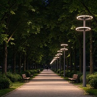 Lampes de jardin LED circulaires en aluminium de haute qualité personnalisées en usine, étanches IP65, 30W-100W, haute luminosité, lampes de rue pour aménagement paysager