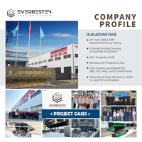 EVERBESTEN Niveleur de quai robuste en acier avec plaque antidérapante, petit modèle, capacité multi-niveaux, certifié ISO9001 CE, hydraulique