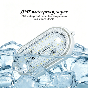 Controlador LED IP67 Impermeable para Almacenamiento en Frío -45°C Anticongelante Anticondensación 20W Lineal Tri-proof 1 Año de Garantía 0.2kg - Product Image 2