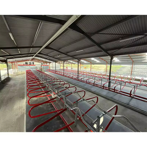 Estructura de Acero Prefabricada para Granjas, Establos para Vacas, Cobertizos para Ovejas, Ganado Vacuno, Cabras Lecheras - Product Image 2