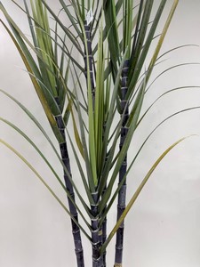 Caña de Azúcar <span class=keywords><strong>Artificial</strong></span> de Nuevo Diseño, 30 Dólares Estadounidenses <span class=keywords><strong>por</strong></span> <span class=keywords><strong>Metro</strong></span> - Product Image 2