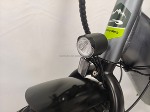 Xe Đạp Điện, Pin Lithium 48V, 8 Tốc Độ, 12Ah ,13Ah,14Ah Fat Bike_<span class=keywords><strong>20inch</strong></span> - Product Image 6