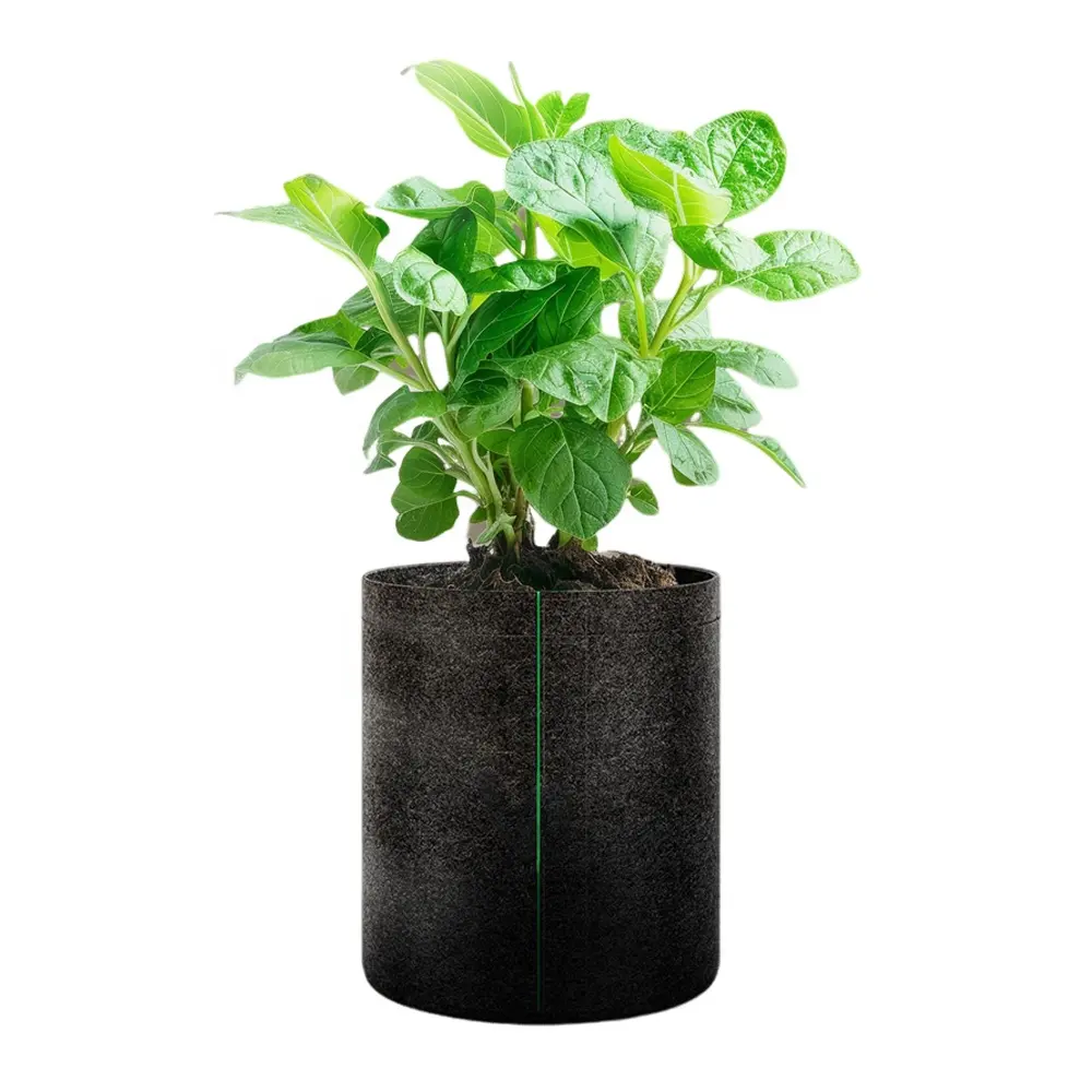 Factory Wholesale Outdoor Breathable Fruit Plant Felt Grow Bags 1 Gallons for Garden