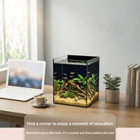 Aquarium de bureau en verre ultra-transparent épaissi avec fond noir pour petits poissons Betta, poissons rouges, guppies dans un petit salon