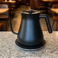 Bouilloire électrique de 0,8 L avec contrôle de la température, portable, en acier inoxydable 304, chauffe-eau avec fonction d'arrêt automatique, pour usage domestique