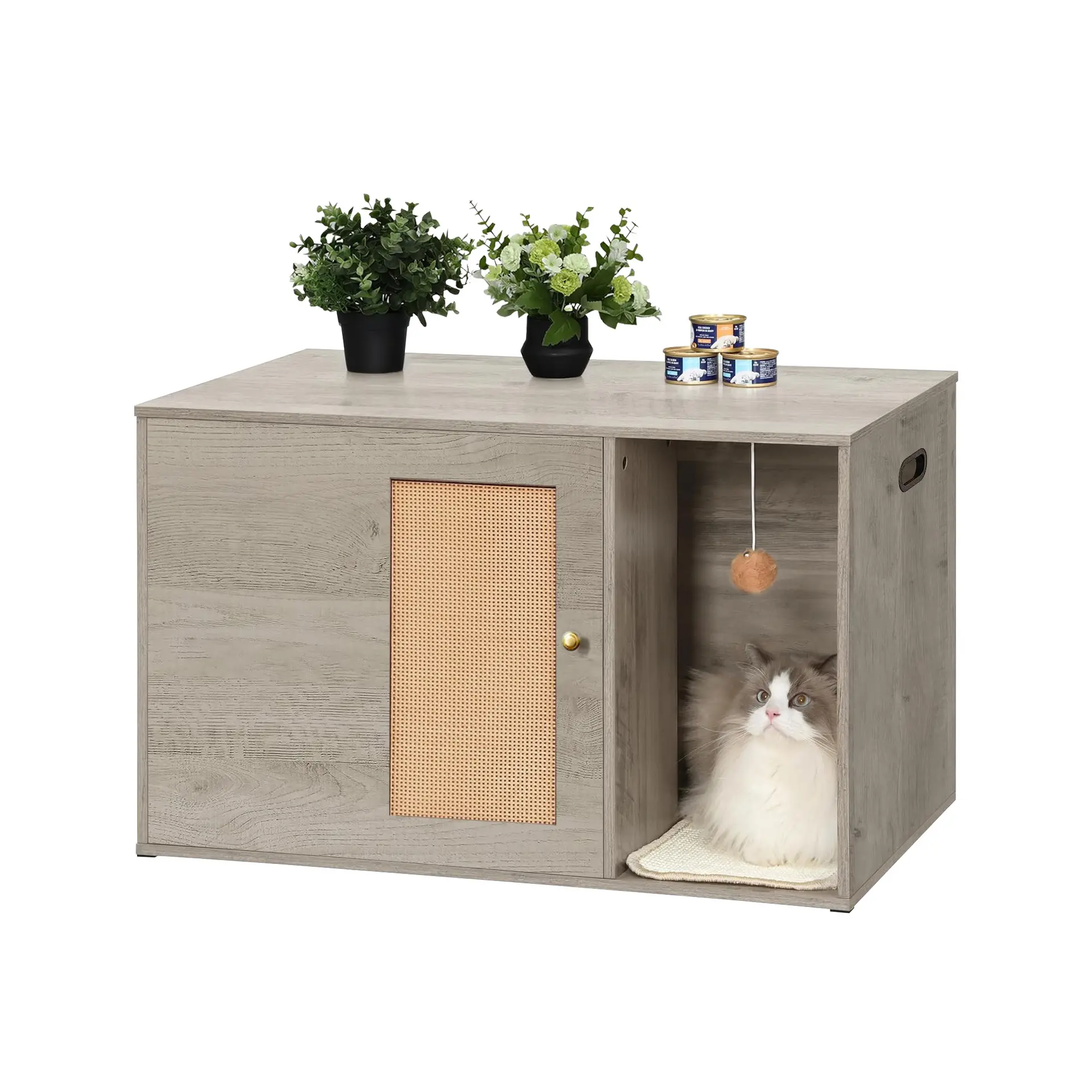 Fabriek Oem Nieuwe Stijl Rotan Deur Verborgen Kattenbak Opbergkasten Woonkamer Multi Functionele Kast Met Huisdier Huis